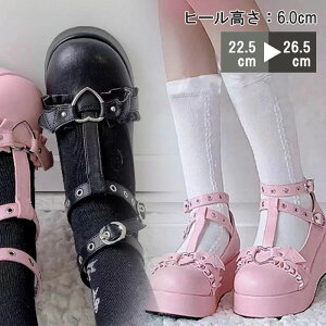 _}\撅N[|+ SiP5{I^[t@[ fB[X w ʋ ʊw ꃍ[t@[ ł[t@[ ubN Z q [t@[ C
