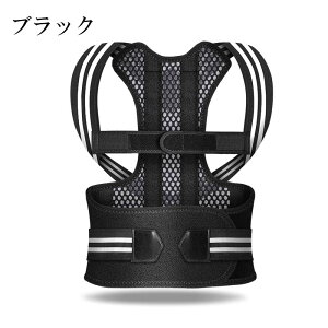 Lw Lwxg qp pxg p␳ LbY w؋xg pT|[^[ pT|[^[ ̎q j̎q xg w T|[^[ q xg ʋC ␳  