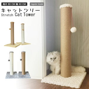 yyVubNtCf[`5{I11/27܂Łz܂Ƃ L ɑ |[  80 cm  40 cm Iׂ   ꊪ ˂ ߂Ƃ lR ܂Ƃ|[ ܌ ܂݂ Lbgc[ ~j u 