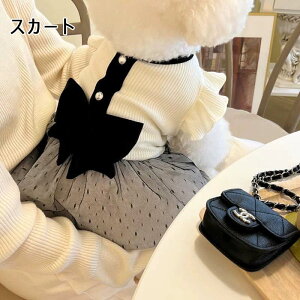   hX XJ[g   ^ ^ hbOEFA t `[ p H t  pi hX ̃hX ybg Ă̌ ť { JWAhX 