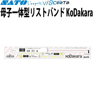 q̌^Xgoh KoDakara Xv ×px SATO Tg[ i