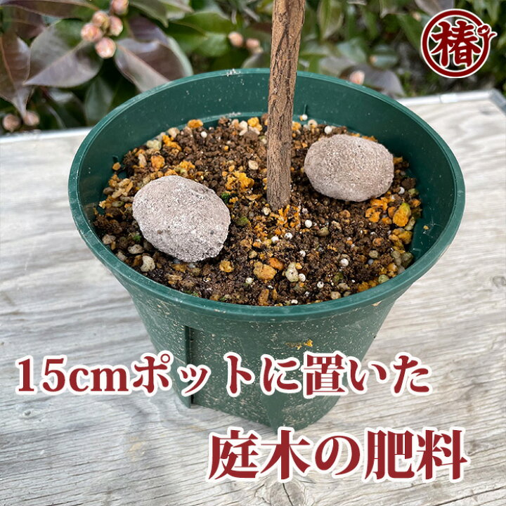 楽天市場 庭木の天然腐植肥料 2kg にわきのてんねんふしょくひりょう 2キログラム 椿 つばき ツバキ 肥料 ひりょう 有機 庭師 推奨 花木 庭木 果樹 置き肥 盆栽 花壇 花苗 苗木 鉢植え 資材 園芸 用土 初心者にも安心 椿の専門店 椿園 楽天市場店