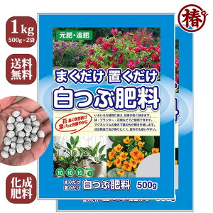 yzԔ엿 1kgi500g×2܁j엿 ԂЂ傤 1L OɌ엿 Y  엿 IB ACr[  t   ΂ coL Ԗ ʎ u  ~ Ԓd