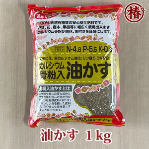  1kg iJVEEjԂ炩  1LOy ΂ coL 엿 Ђ傤 L@ t u  Ԗ  ~ Ԓd ԕc c A  | py S