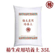 椿生産用培養土 35L/袋 　※元肥配合つばきせいさんようばいようど【椿 つばき ツバキ 花木 庭木 花壇 花…