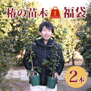 y2026Vt ֕cؕ܁Ez 5c Ԓ2{Zbg 邩͂y݂̕܁Iʌy΂ coL ֕c 炫 Ԗ   c A   | S