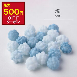 yő500~ItN[|zޗǂӂ   40g  ԕ̉ X|[c MǗ\h ACXN[ gbsO  ؂Ƃ RyCgE ʉَq Mtg v`Mtg 