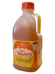 ЉI{܁@BK|3ӂ背Q݂͂2500G