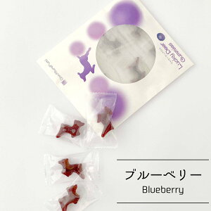 LuckyDeerGummies bL[fBAO~  5 u[x[RtB`[ lC O~ n[hO~ O~ َq ޗǌY  u[x[ C`S RtB`[ t[