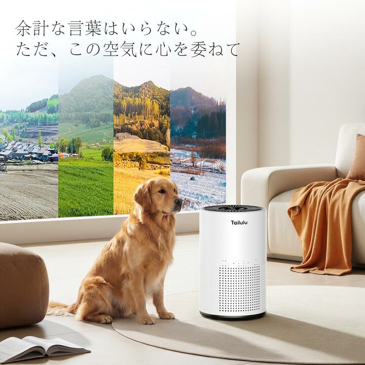 楽天市場】【3H限定☆50%OFFクーポン】空気清浄機 超静音 高性能 花粉 