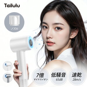 �y�|�C���g10�{��100�~�N�[�|���z�h���C���[ �w�A�h���C���[ �啗�� ���� 28m/s�啗�� 7���}�C�i�X�C�I�� �y�� �����h���C���[ �Ód�C���� �R���p�N�g ��M�� �P�� �������P �w�A�P�A ���e�Ɠd