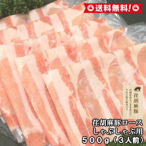 _MAX40%OFFN[|I`9/30܂Ł^Y ܓ [X 500g | Ԃԗp `Ӗ Ԃ Y ؓ [X ؃[X  ؂ XCX  Ε j 蕨 v[g