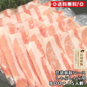 Y ܓ [X 800g | Ԃԗp `Ӗ Ԃ Y ؓ [X ؃[X  ؂ XCX  Ε j 蕨 v[g Mtg j j 