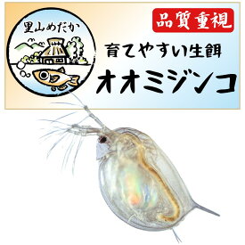 初心者でも増やせる オオミジンコ約300匹700ml飼育水入り 苔取りヒメタニシ めだか メダカ アクアリウム 熱帯魚 金魚 ベタ タマミジンコ 光合成細菌PSB グッピー レッドラムズホーン ロタラ ウォーターバコパ オオミジンコ 水草 産卵床 マジックリーフ 活き餌