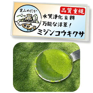 ~WRELNT 150ml ێq^jV ߂ _J ANAE Mы  x^ ^}~WR ׋PSB Obs[ bhYz[ ^ EH[^[oRp II~WR 