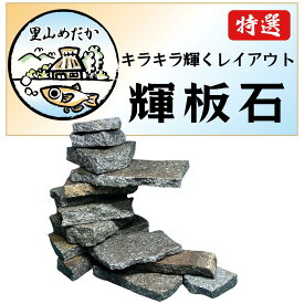 輝板石 サイズミックス 積みやすい形状 水槽の中でキラキラ光る 初心者にもおすすめ！オーバーハングで大迫力