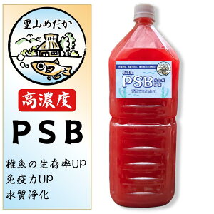 ׋PSB2L ێq^jV ߂ _J ANAE Mы  x^ ^}~WR Obs[ bhYz[ ^ EH[^[oRp II~WR  Y }WbN