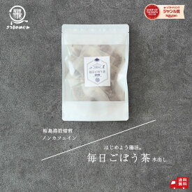 【自社製造】【国産100％使用】毎日ごぼう茶 （水出し）3gx15包 九州産 国産 桜島溶岩焙煎 食物繊維 ごぼう茶 イヌリン ポリフェノール 水出し ティーパック ティーバッグ 煮出し ノンカフェイン ごぼう コスパ タイパ ダイエット 送料無料 薩摩の恵 5のつく日