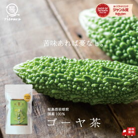 【自社製造】【国産100％使用】桜島溶岩焙煎ゴーヤ茶 45g 九州産 ゴーヤまるごと 国産 ゴーヤ茶 ノンカフェイン グルメ お取り寄せ フード おすすめ 桜島溶岩焙煎 送料無料 薩摩の恵 ゴーヤー茶 苦瓜茶 健康食品 健康茶 ごーや 定期で1000円ポッキリ