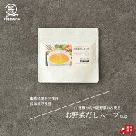 ＼訳あり30%OFF価格／賞味期限2026年10月6日 【国産野菜100％】 お野菜だしスープ 80g 九州産 国産 タイ…
