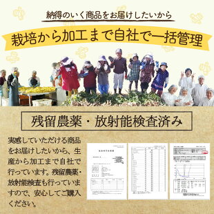 蒸し生姜よりスゴイ熟成蒸し黒生姜など【3種類から選べる生姜パウダー】思った以上に生姜です!【メール便送料無料】鹿児島産しょうがパウダーしょうが粉末生姜紅茶生姜湯乾燥生姜粉末黒酢しょうが1000円ポッキリオキスむししょうが