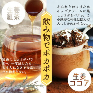 黄金生姜パウダー70gならチューブ生姜約20本分で経済的