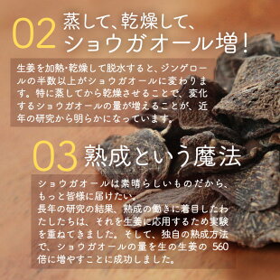 蒸し生姜よりスゴイ熟成蒸し黒生姜など【3種類から選べる生姜パウダー】思った以上に生姜です!【メール便送料無料】鹿児島産しょうがパウダーしょうが粉末生姜紅茶生姜湯乾燥生姜粉末黒酢しょうが1000円ポッキリオキスむししょうが