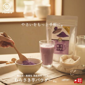 【国産100％使用】無添加紫芋パウダー（加熱不要）九州産 粉野菜 離乳食 コグマパン ホットケーキ プロパ 蒸しパン クッキー 野菜摂取 子供 野菜嫌い 60g 野菜パウダー ポイント消化 グルメ食品 むらさき芋 紫芋　送料無料 薩摩の恵 やさいパウダー