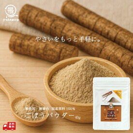 【国産100％使用】無添加ごぼうパウダー（加熱不要）40g 粉野菜 鹿児島産 離乳食 プロパ パン ホットケーキ パンづくり クッキー 野菜摂取 子供 野菜嫌い 野菜パウダー 無添加 無着色 グルメ 薩摩の恵 送料無料 食物繊維 イヌリン リグニン アラビノキシラン 5のつく日