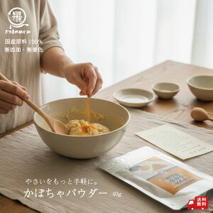 yY100gpzYڂpE_[ivMjY  H p zbgP[L vp p ؐێ ؃pE_[ Y F |Cg OHi 