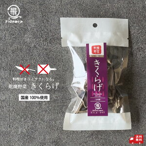 yY100gpz 炰 10g Y_CGbg t[YhC H ۑH hАH ۑ   Jbg X[v ݂` X` d Jbv CX^g Ă