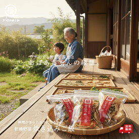 【国産100％使用】乾燥野菜 炊き込みご飯 15g 九州産 非常食 保存食 防災食 長期保存 干し野菜 乾物 カット野菜 スープ みそ汁 味噌汁 仕送り カップ麺 インスタント 焼きそば 非常用 防災 備蓄 薩摩の恵 グルメ 食品 お取り寄せ