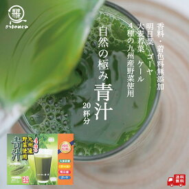 ＼健康習慣／ 九州産野菜を使った 自然の極み 青汁 1箱（20包）20杯分 ダイエット サプリメント 大麦若葉 明日葉 食物繊維 ビタミンE カルシウム シェイカー 女性 おいしい青汁 国産 安い 健康食品