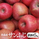 クーポンで70%引き!【特別販売キャンペーンセール】青森県津軽産りんご【サンふじ】訳あり 5Kg/箱【数量限定販売】【送料無料】