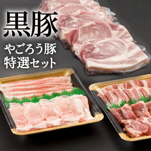 【かごしま黒豚】鹿児島黒豚やごろう豚づくし詰合せ 送料無料 お取り寄せギフト お取り寄せ肉 肉 黒豚 ギフト豚肉 豚バラ ロース お祝い 黒豚しゃぶ 黒豚焼肉 焼き肉 黒豚味噌漬け 黒豚ロ