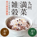 雑穀 野菜入り 満載雑穀250ｇ 九州産 11種の雑穀と5種の野菜 国産 送料無料 スーパーフード 野菜不足対策 お子さんの野菜嫌いに 食育 珍しい 野菜 雑穀 ごはんを食べながら野菜を摂れる 雑穀