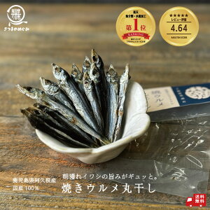 ăEۊ 20g×2/20g×10 ܂ 1000~|bL   E Y Y Y Ăߊۊ wV[ | | umami UMAMI ӎ V Y DHA EPA JVE h{