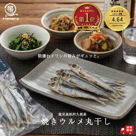焼ウルメ丸干し 20g×2袋/20g×10袋 おつまみ おやつ うるめ ウルメ 国産 鹿児島県産 無添加 焼うるめ丸干し ヘルシー 旨味 旨み umami UMAMI 晩酌 流儀 名産 DHA EPA カルシウム 栄養補給 健康 ダイエット