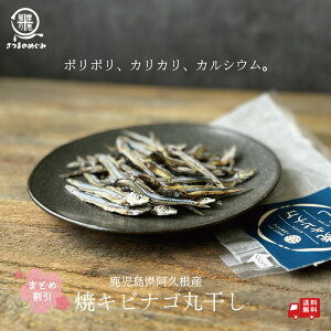 _܂Ƃߊ^ ăLriSۊ25g×10܂܂  тȂ LriS Y Y Y ĂтȂۊ wV[ | ӎ V Y DHA EPA JVE r^~D h{⋋ 