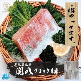鹿児島県産 冷凍カンパチ1/8ブロック 4ブロック お刺し身 刺し身 カルパッチョ 晩酌 おつまみ