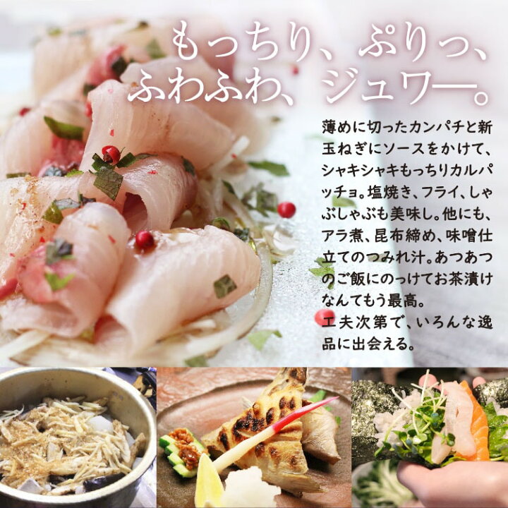 楽天市場 鹿児島県産 カンパチ まるごと一本お届け 約3 5kg かのやカンパチ 刺し身２０ ３０人前 鹿屋市漁業協同組合 １尾 冷蔵便 送料無料 業務用 薩摩の恵 楽天市場店