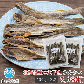 【かんかい 北海道産 1kg（500g×2袋）】こまい コマイ 氷下魚 珍味 海産珍味 干物 大容量 おやつ おつまみ オヤツ オツマミ ツマミ
