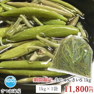 【期間限定 生じゅんさい S 1kg】冷蔵便 秋田県産 国産 じゅんさい 鍋 酢の物 ご当地 名物　生ものですの…