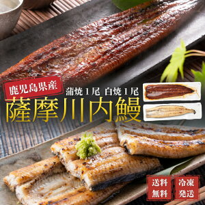 鰻 うなぎ 鹿児島県産 国産 白焼1尾・蒲焼1尾 2尾セット ギフト 贈答 鰻重 鰻丼 お歳暮 母の日 父の日 お中元 敬老の日 送料無料
