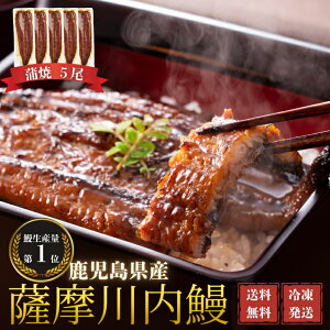 【送料無料】 【鹿児島県産】鰻 うなぎ 国産 蒲焼 5尾セット ギフト 贈答 鰻重 鰻丼 お歳暮 母の日 父の日 お中元 敬老の日