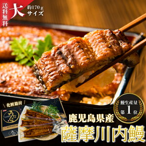 【送料無料】 鰻 うなぎ 鹿児島県産 国産 蒲焼 大3尾セット ギフト 贈答 鰻重 鰻丼 お歳暮 母の日 父の日 お中元 敬老の日