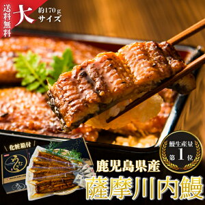 【送料無料】 うなぎ 鹿児島県産 国産 蒲焼 大4尾セット ギフト 贈答 鰻重 鰻丼 お歳暮 母の日 父の日 お中元 敬老の日
