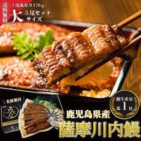 【送料無料】うなぎ　鹿児島県産　国産　蒲焼　大5尾セット　ギフト　贈答　鰻重　鰻丼　お歳暮　母の日　父の日　お中元　敬老の日