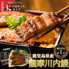 【送料無料】 うなぎ　鰻　鹿児島県産　国産　蒲焼　大3尾セット　ギフト　贈答　鰻重　鰻丼　お歳暮　母の日　父の日　お中元　敬老の日