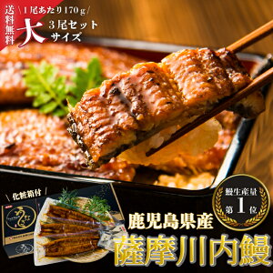 yz Ȃ@V@Y@Y@ā@3Zbg@Mtg@@Vd@V@Ε@̓@̓@@hV̓